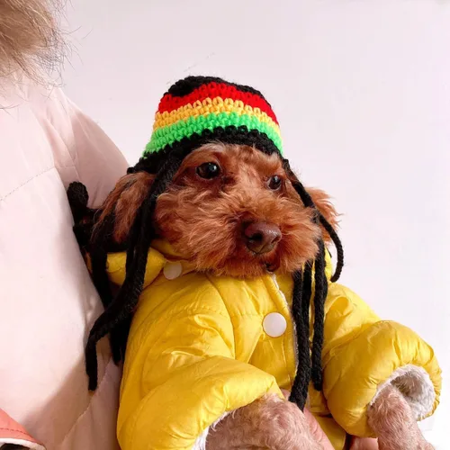 Vista 2 de Gorro de punto para perro con rastas, gorro de lana de invierno para perros