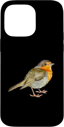 Vista 21 de Robin Bird Case for iPhone 17