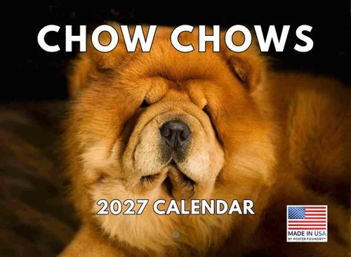 Vista 22 de Calendario mensual de pared Airedale Terrier Dog 2027