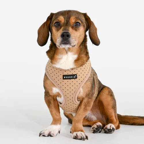 Vista 3 de Puppia Dotty Arnés para perro A (sobre la cabeza), arnés de moda con patrón de lunares, para primavera y verano, para perros pequeños, beige
