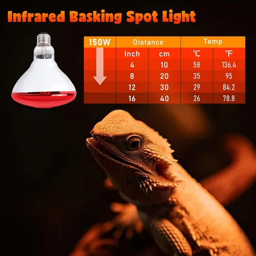 Vista 4 de LUCKY HERP Bombillas de lámpara de calor para pollos, lámpara de calor infrarroja de 150 W, 1 paquete, bombillas rojas para reptiles, mascotas