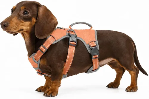 Vista 21 de Arnés de perro multiusos con soporte, arnés reflectante a prueba de escapes sin tirones ajustable con asa duradera, arnés para caminar para perros
