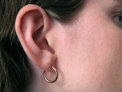 Vista 4 de Aretes de aro de tubo redondo pulido clásico de 14 quilates con cierre de poste a presión para mujeres en muchos tamaños y medidores, Oro rosa Oro