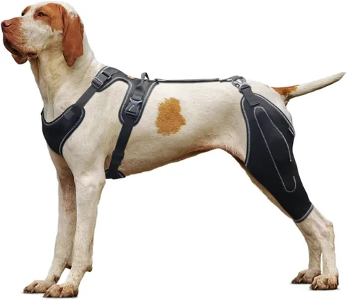 Vista 2 de Rodillera para perro para pierna trasera desgarrada ACL/CCL, soporte ajustable con suficiente envoltura y soporte y rótula luxante, soporte