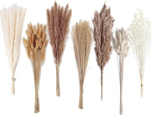Vista 7 de 10 tallos de hierba de las pampas de 40 pulgadas de alto en color beige natural, añade un toque bohemio a tu espacio: hierba de las pampas ideal