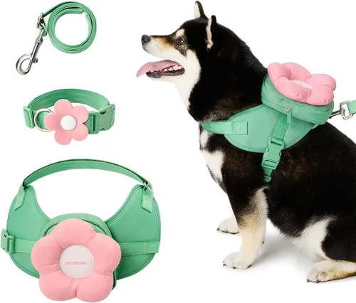 Vista 9 de VETRESKA Flora - Juego de arnés para perro, correa y collar, arnés de chaleco para perro sin tirones para caminar y entrenar, ajustable, fácil