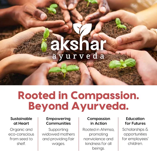 Vista 8 de AKSHAR Ayurveda Ashwagandha KSM-66 - Gomitas (1 paquete), suplementos orgánicos de Ashwagandha para concentrarse, aumentar la energía y la fuerza