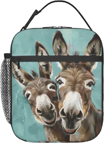Vista 14 de Lonchera reutilizable con diseño de avión vintage para niños, mujeres y adultos, bolsa de almuerzo azul con aislamiento retro para avión, bolsa