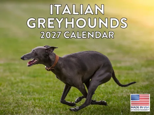 Vista 163 de Calendario mensual de pared Airedale Terrier Dog 2027 rojo (Airedale Terrier)
