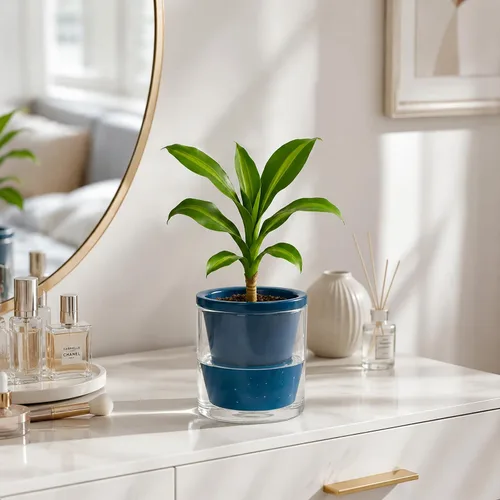 Vista 6 de D'vine Dev Maceta de Diseño de Riego Automático de 4 Pulgadas para Plantas de Interior, Maceta de Terracota Azul con Vaso Cilíndrico de Vidrio