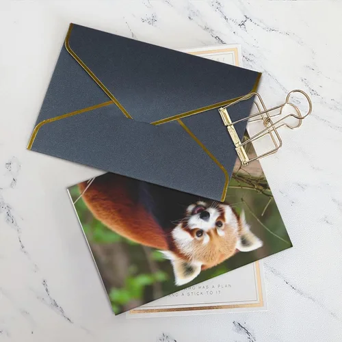 Vista 5 de Tarjetas de felicitación con sobres, tarjeta de felicitación con sobres, tarjeta de felicitación de Little Panda rojo en blanco para todas