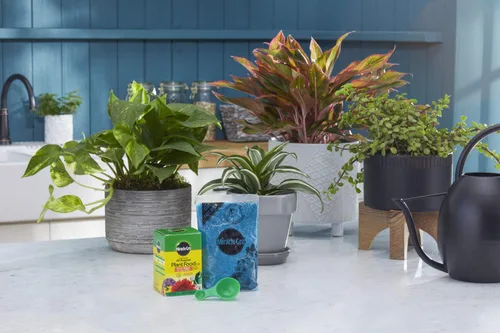 Vista 2 de Miracle-Gro Alimento vegetal soluble en agua, 8 onzas (paquete de 12)