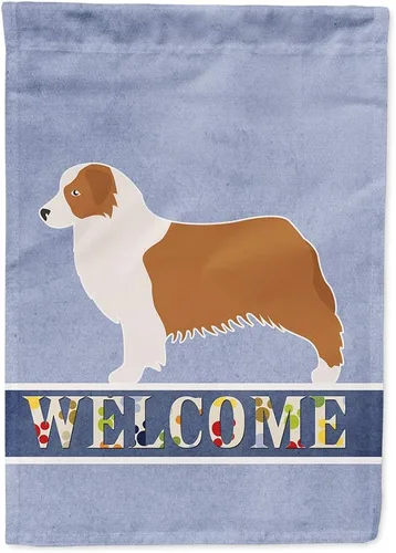 Vista 130 de Caroline's Treasures BB5552GF Affenpinscher Bandera de bienvenida para jardín, bandera decorativa para patio exterior, patio, parterres