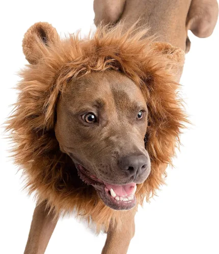 Vista 5 de Pet Krewe - Disfraz de melena de león para perro, para cuello de 8 a 14 pulgadas, melena de león para perros pequeños, ideal para Halloween