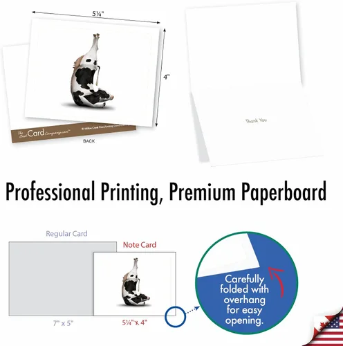 Vista 6 de The Best Card Company - 10 notas de agradecimiento en caja con sobres, varios artículos de papelería para decir gracias para hombres y mujeres