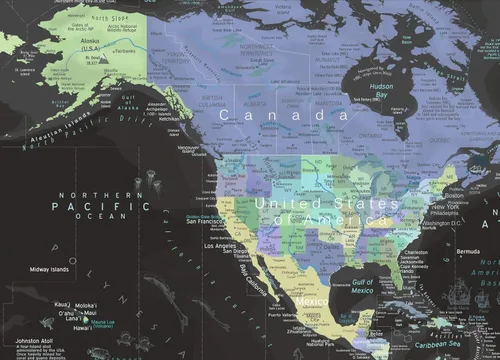 Vista 5 de GEOJANGO Mapa de viaje del mundo personalizado con alfileres, lienzo estirado de pared grande, póster enrollado o mapa enmarcado, mapa personalizado