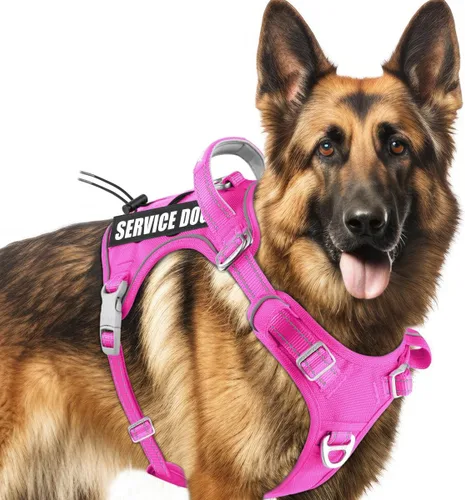 Vista 11 de BARKBAY Chaleco táctico para perro, arnés ajustable reflectante K9, de fácil control, sistema militar Molle para perro, sin tirones, color negro