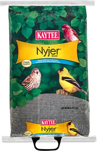 Vista 15 de Kaytee Nyjer - Semilla de comida para pájaros silvestres, 3 libras