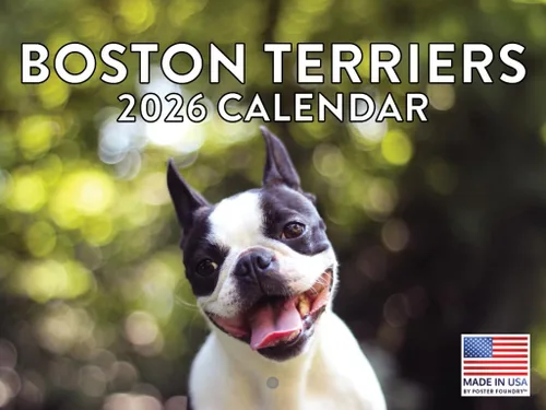 Vista 218 de Calendario mensual de pared Airedale Terrier Dog 2027 rojo (Airedale Terrier)