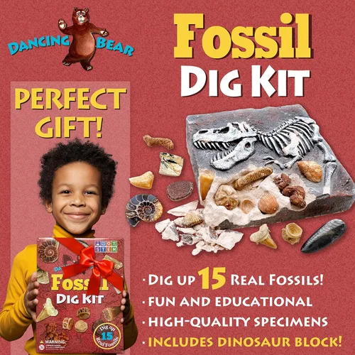 Vista 7 de DANCING BEAR Kit de excavación de fósiles, excavar 15 fósiles prehistóricos, incluyendo huesos de dinosaurio reales y dientes de tiburón, educación