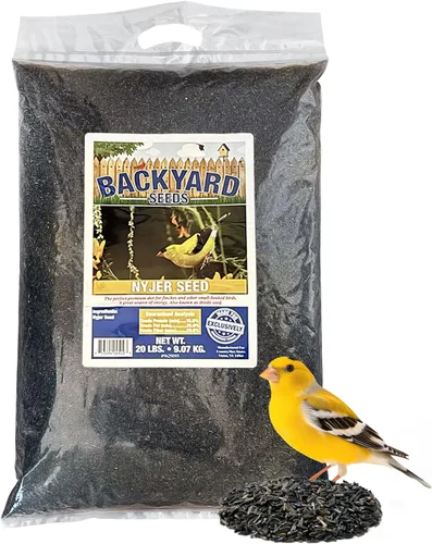 Vista 7 de Nyjer - Semilla de cardo para pinzones de 3 libras, semilla de ave Nyjer prémium para comederos exteriores, bolsa pequeña de alimento para pájaros