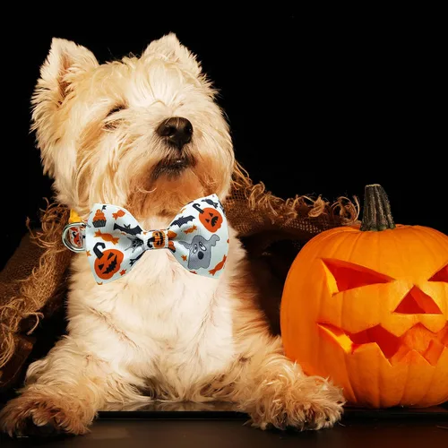 Vista 7 de Paquete de 2 collares de perro de Halloween con corbatín, linterna de Navidad y collar de calabaza para perros pequeños, medianos y grandes