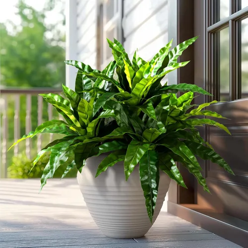 Vista 12 de 4 Piezas Tallos de Vegetación Artificial Helecho Nido de Pájaro Falso Ramas Falsas Plantas Artificiales Dracaena Falsa Realista Plantas Realistas