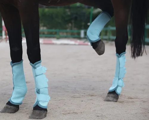Vista 4 de LEAFOREST Juego de 4 botas para mosca de caballo, protección antideslizante para piernas para burro mini pony, botas de malla transpirable para Azul
