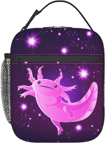 Vista 12 de Sun and Moon Mystic Goth Witchy Fiambrera reutilizable con aislamiento, bolsa de almuerzo térmica para niños, niñas, escuela, hombres, mujeres