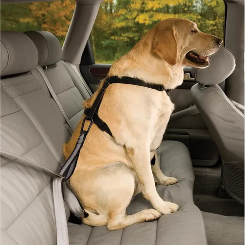 Vista 3 de Kurgo - Correa para cinturón de seguridad, color negro Dog Safety Tether with Carabiner, Helps Reduce Distracted Driving, Adjustable Length, Use