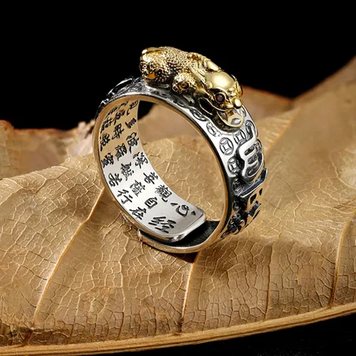 Vista 3 de Niqnay Feng Shui Pixiu - Anillo de mantra budista de buena suerte, amuleto de doble protección, riqueza, amor, salud, regalo para hombres y mujeres