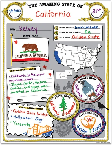 Vista 2 de Teacher Created Resources Paquete de póster Amazing State (TCR5800)