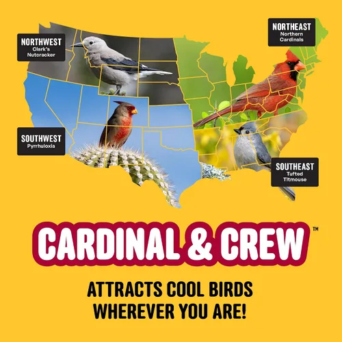 Vista 11 de Cool Birds Cardinal & Crew Semilla para Aves Silvestres – 10 lb. Girasol de Aceite Negro, Corazones de Girasol y Mezcla de Cártamo para Cardenales