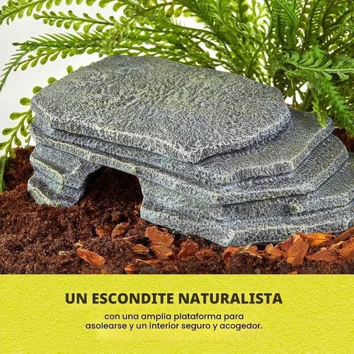 Vista 3 de Zilla Herp Hotel Naturalistic Hide, Plataforma de Tomar Dragón Barbudo