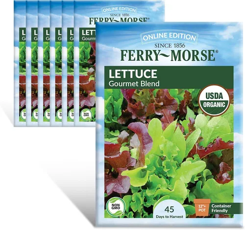 Vista 25 de Ferry-Morse Edición Online Bean Blue Lake Bush 274 Semillas Orgánicas Multipack – Paquete de 8