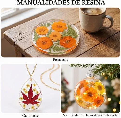 Vista 6 de 350 piezas de flores secas de otoño para manualidades, flores secas
