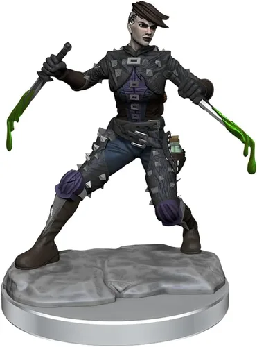 Vista 7 de WizKids D&D Frameworks: Human Rogue Female - Sin pintar y sin ensamblar