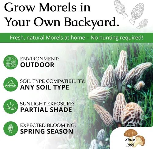 Vista 3 de Hábitat para cultivo de morillas, juego de cultivo de setas para el patio Compatible with Any Soil Type Across the U.S., Outdoor Garden & Backyard