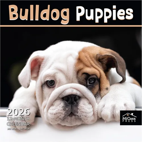 Vista 34 de MICASA PRESS Calendario de pared de Australian Shepherds Aussies 2027 02 - Pastores australianos