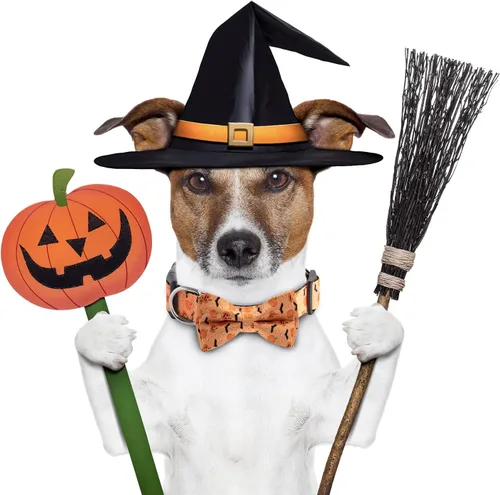 Vista 4 de TDTOK Collar de perro de Halloween con corbatín ajustable para Halloween, collar espeluznante para perro con hebilla de plástico ecológica
