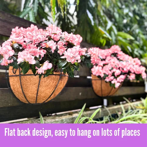 Vista 7 de Shoplala Maceta colgante de pared para exteriores (paquete de 2, 10 pulgadas), cesta colgante de flores de metal negro para plantas, macetas