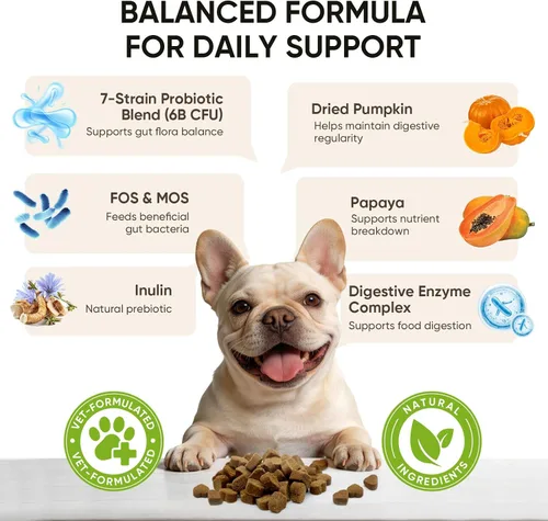 Vista 3 de Probióticos para perros Salud digestiva intestinal Probióticos masticables