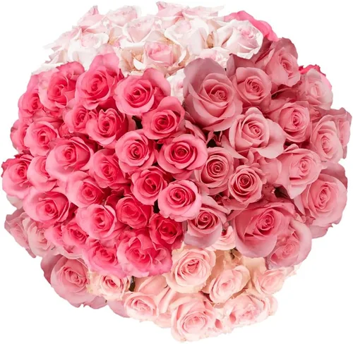 Vista 33 de GlobalRose Ramo de 50 rosas surtidas, rosas de origen responsable, flores frescas, ramo fresco de flores seleccionadas a mano para el día