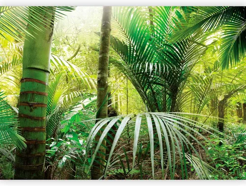 Vista 13 de artgeist Mural de pared Cascada de 116 x 83 pulgadas - Papel tapiz autoadhesivo extraíble de gran tamaño para decoración de pared, diseño de #06