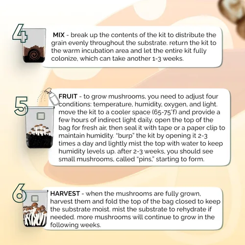 Vista 6 de MycoHaus Kit de cultivo de hongos todo en uno con puertos de inyección Bolsas de cultivo de interior para hongos Suministros de cultivo