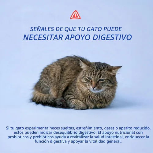 Vista 4 de Probióticos para gatos con prebióticos para gatos Salud digestiva y apoyo
