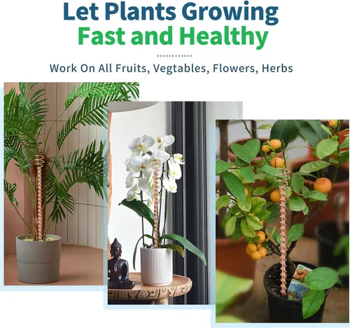 Vista 3 de Estacas para plantas de electrocultivo, paquete de 6 estacas de cobre de 11.5 pulgadas de largo, antenas de bobina de cobre para jardín de cultivo