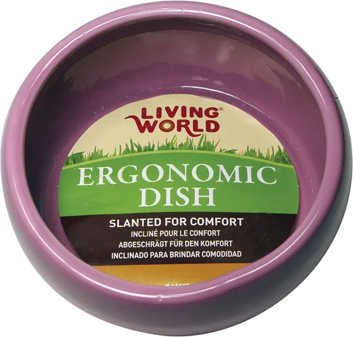 Vista 4 de Plato ergonómico Living World, S, Azul