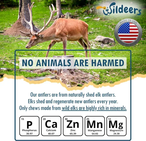 Vista 8 de Wildeers Cuernos de alce para perros pequeños, paquete de 3, ricos en minerales, masticables de hueso de cuernos de perro, fabricados en Estados