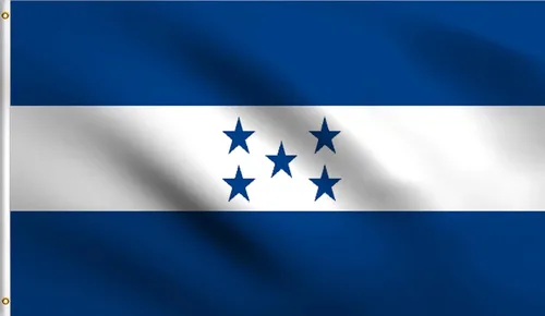 Vista 72 de DMSE - Bandera nacional beninesa beninesa de la República de África Occidental, 2 x 3 pies, 100 % poliéster, 100 % poliéster, resistente a los rayos